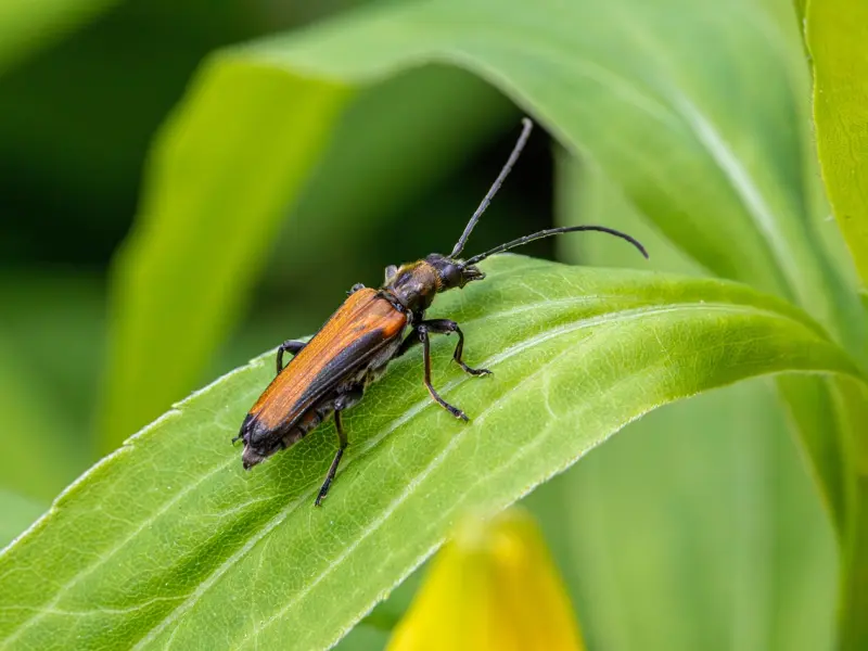 夫妻缘尽有哪些征兆？中了三点的，趁早散伙！