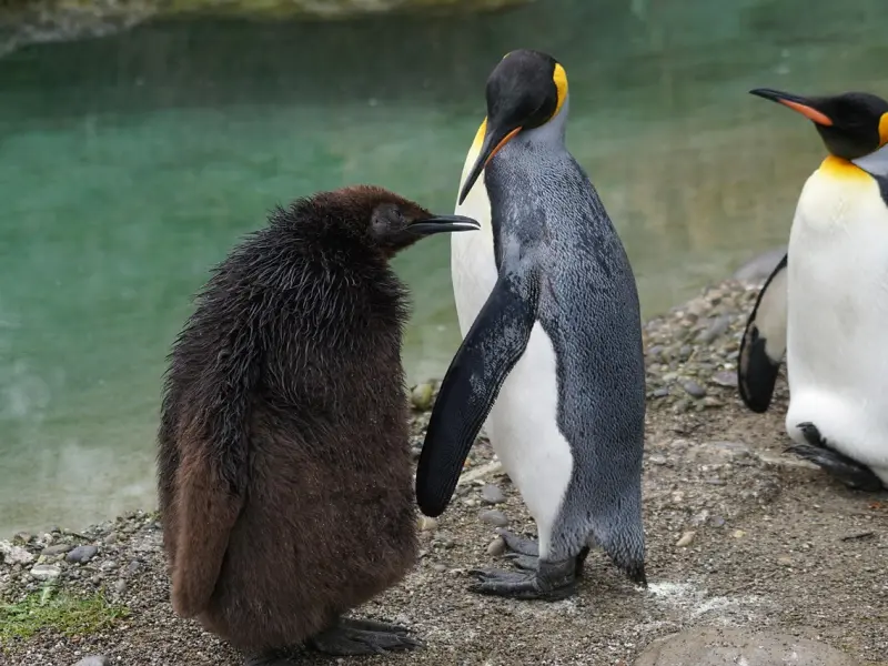 挽回前任时，不能说的话有哪些？