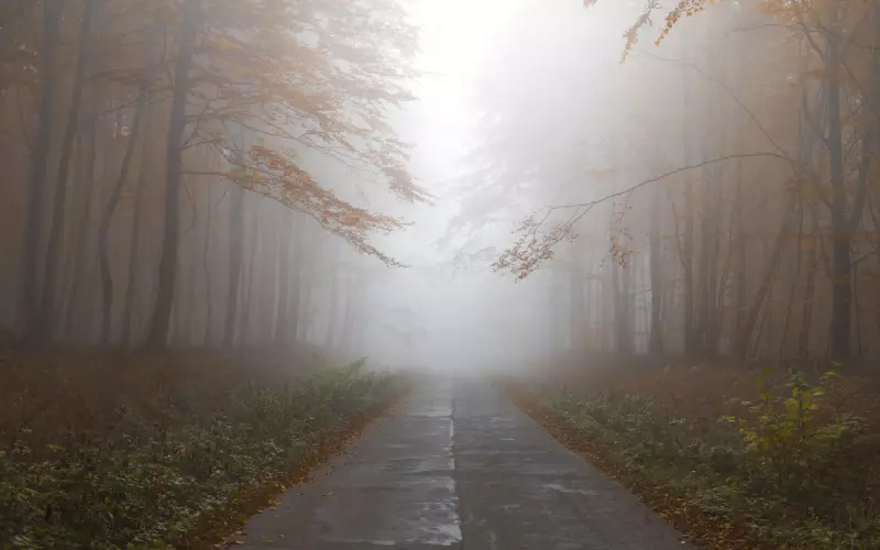 成功挽回男友的套路有哪些