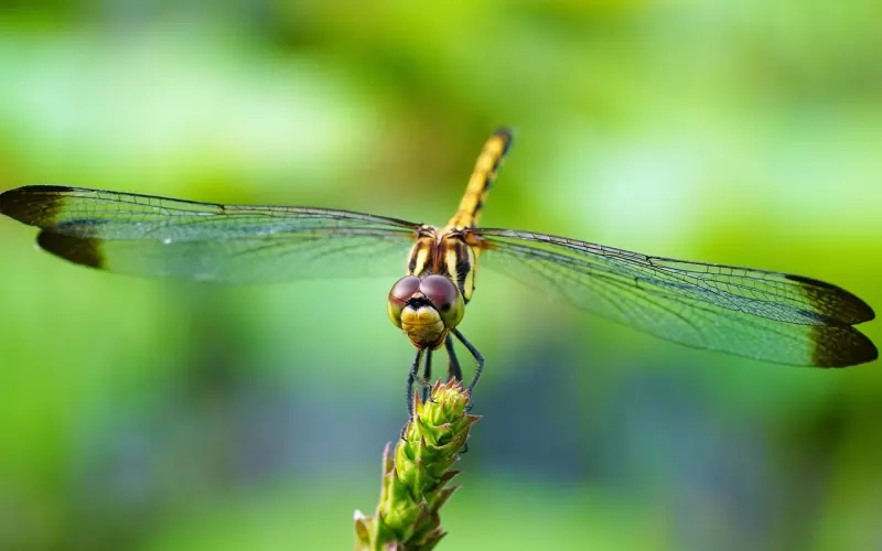 和男友复合有哪些办法