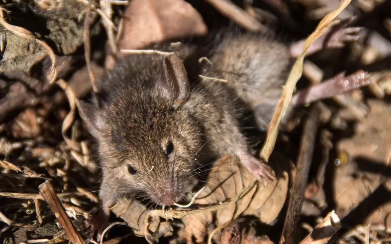 追回异地前男友方法有哪些