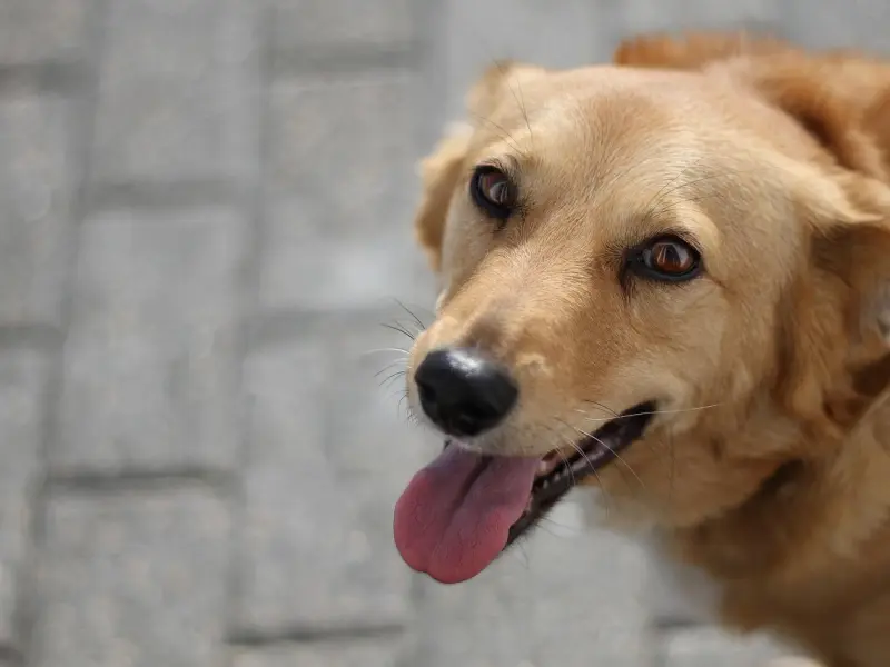 挽回婚姻有什么方法？这些不说你都不知道的4种技巧