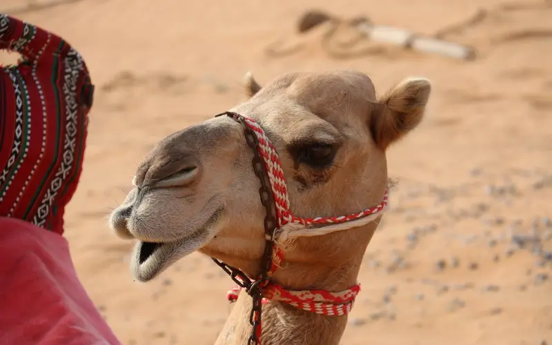 当我们谈恋爱时，我们在谈什么？