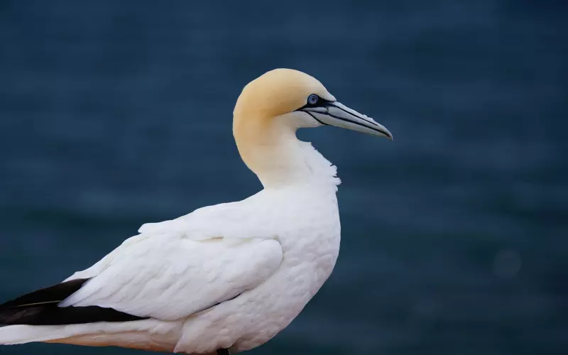 哪些行为可以看出女人在拒绝你？（二）