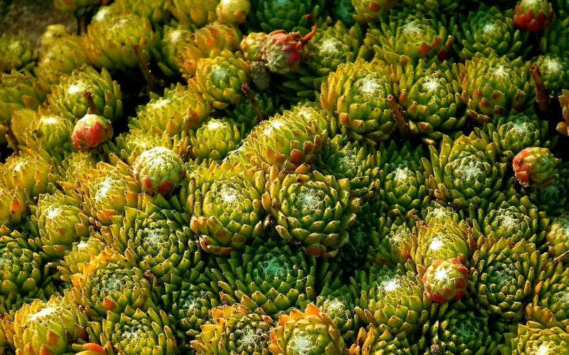 哪些行为可以看出女人在拒绝你？