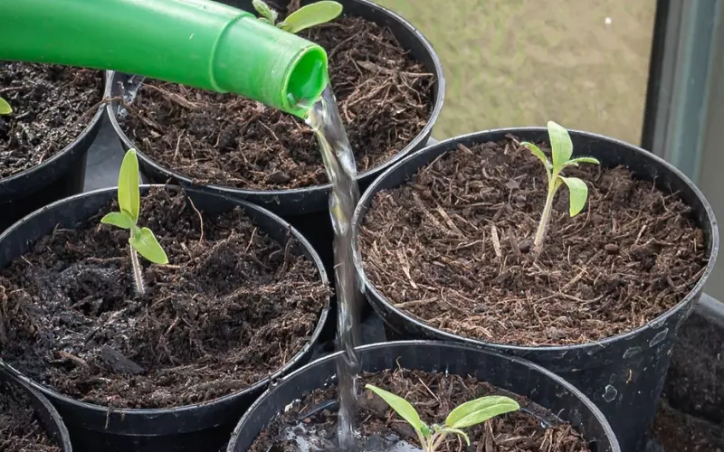 女生怎么做才能让男生更喜欢