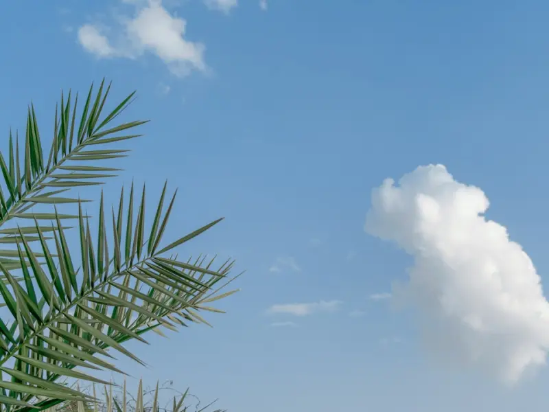 什么才能让我们感到真正的幸福？