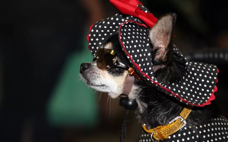 分手后怎么做才能增加对方想要复合的几率？