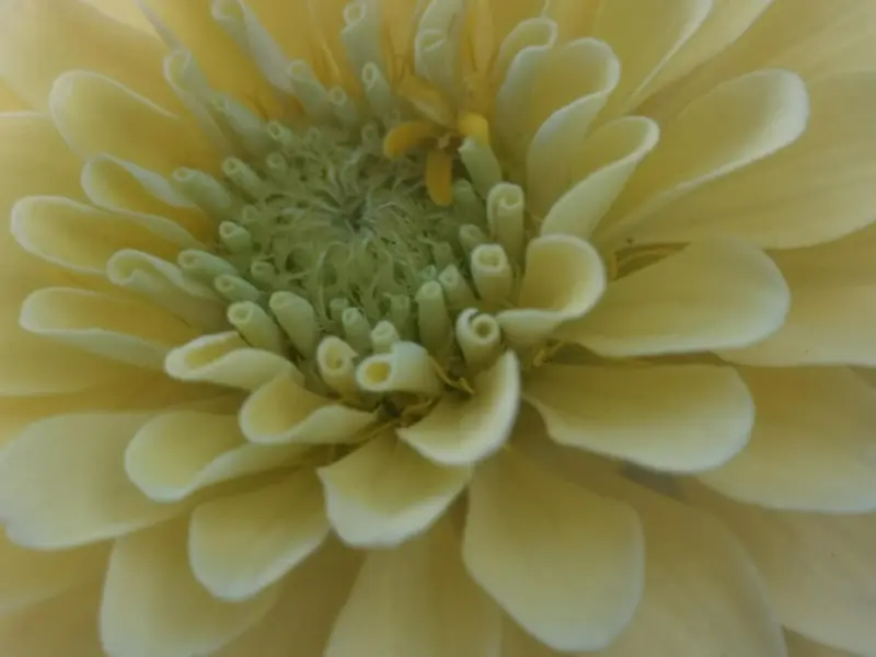 怎么做才能让男人想娶你？