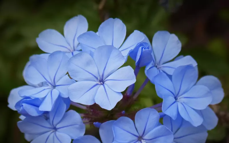 分手后和前任复联时，有哪些细节需要注意？