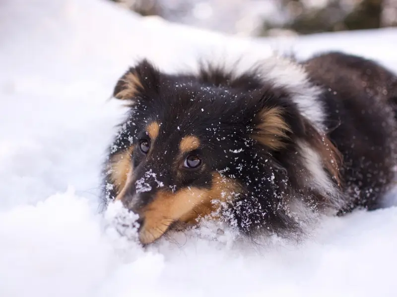你得怎么说，才能让他心甘情愿被“套牢”？