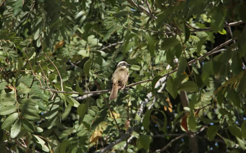 当你没钱的时候，你看到了什么？