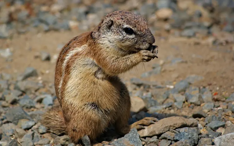 女生所谓的感觉，到底是什么？