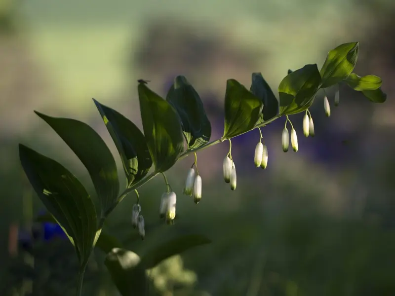 真正把你放在心上的男人，是什么样子？