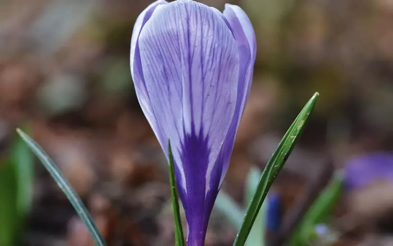 梦见前男友预示着什么？