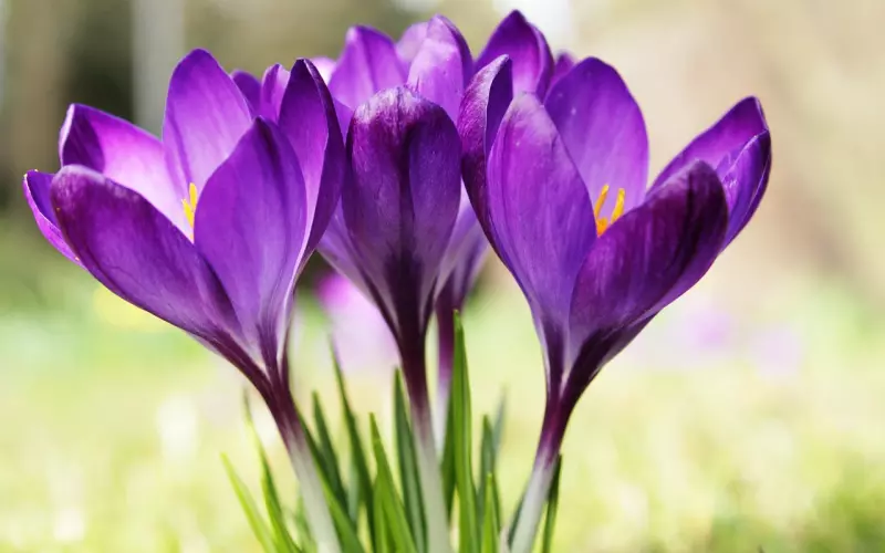 梦见前男友预示着什么？