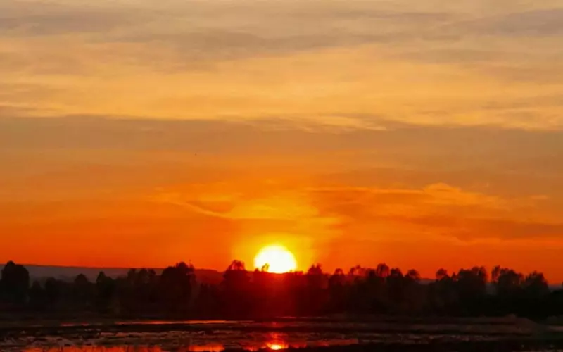 男生真正地爱一个女生是什么样子的？