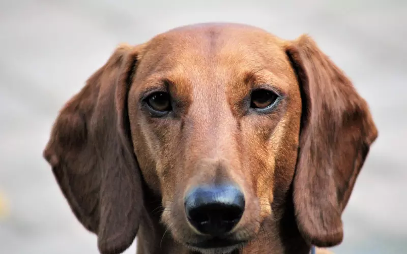 男生真正爱一个女生是什么样子？