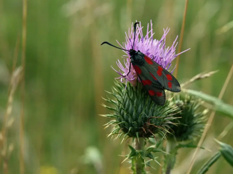 男女互相关心是什么意思？