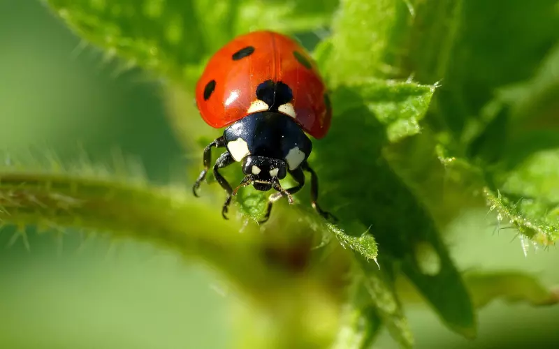 男人不回微信代表什么