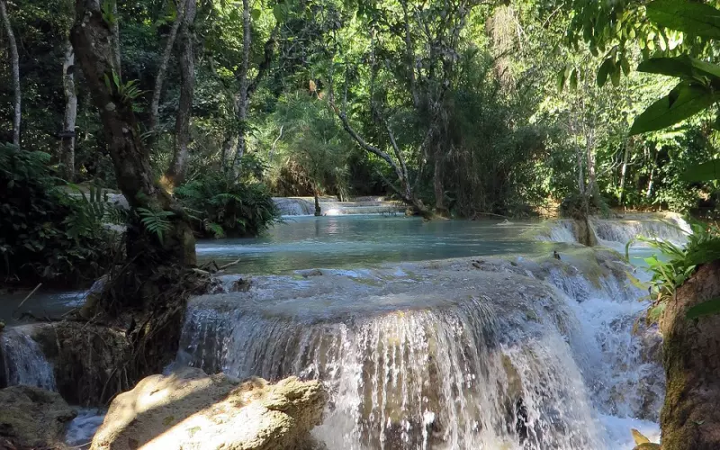 如果前男友还爱你是什么表现