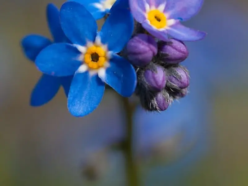 女友没那么喜欢我，但又不想分手是什么意思？ | 隔壁老王