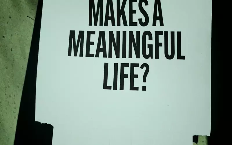 有你是余生没你是将就什么意思(有了你之后一切都是将就)