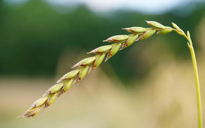 前任愿意回你的信息说明什么？这11种表现，说明他还深爱着你，挽回要趁早