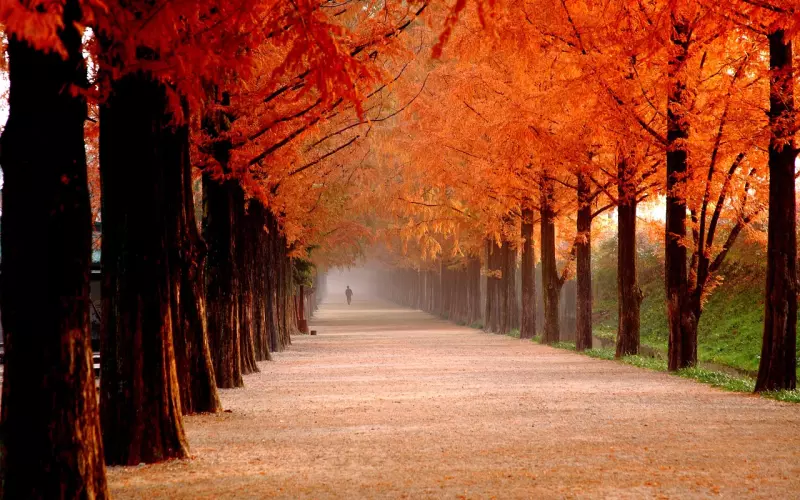 前任愿意回你的信息说明什么？前男友在等你挽回的表现