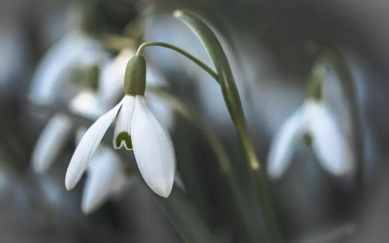 总是梦见前男友预示着什么