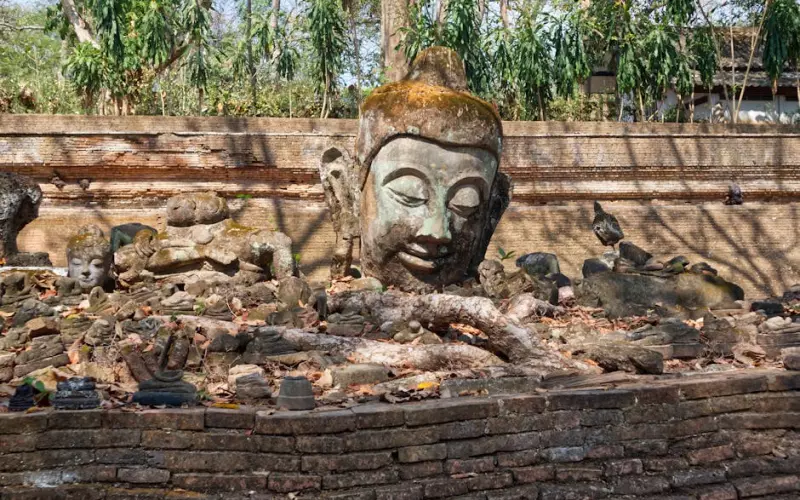 梦见婚外情被发现什么意思(婚外情被发现怎么解决)