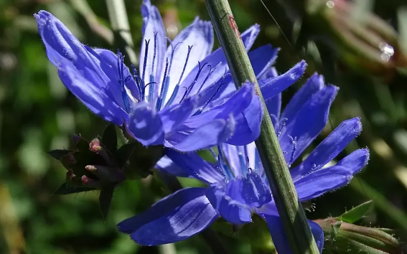 男人分手时说等我一年，是什么意思？