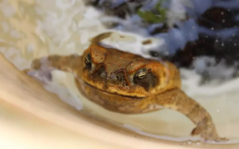 男生对你坦白他的前任是什么意思(男友拉黑前任说明了什么心理)