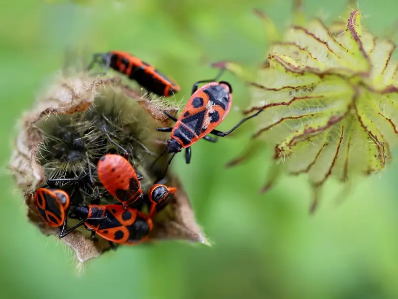 水瓶座的女生收了礼物但不理你，这是什么意思