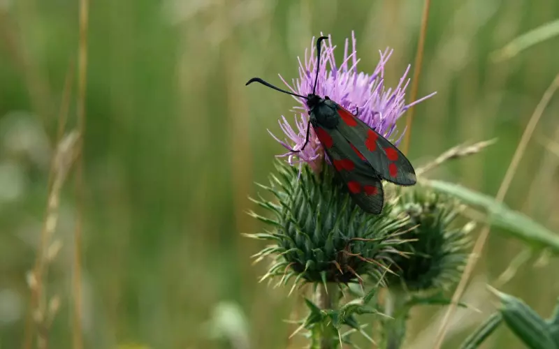 前任突然联系自己是什么意思？是不是前男友会回头的征兆？