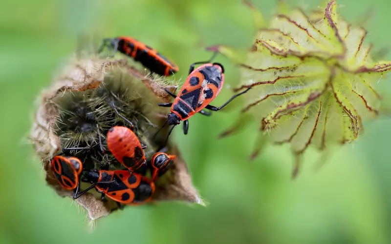 前任突然联系自己是什么意思？是不是前男友会回头的征兆？