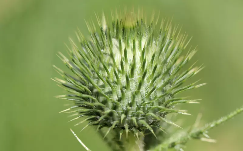 挖墙脚是什么意思？挖来的爱情靠谱吗？