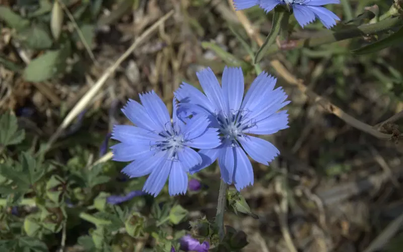 挖墙脚是什么意思？理解这些才能成功挖墙脚