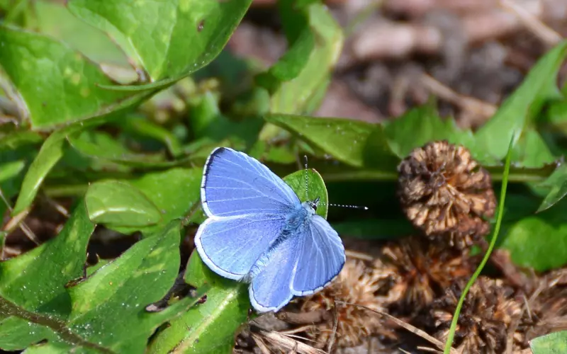 挖墙脚是什么意思，伴侣被挖墙脚时我们该怎么应对？