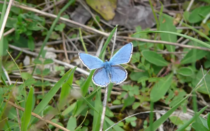 挖墙脚是什么意思，怎么预防心爱的人被挖墙脚？