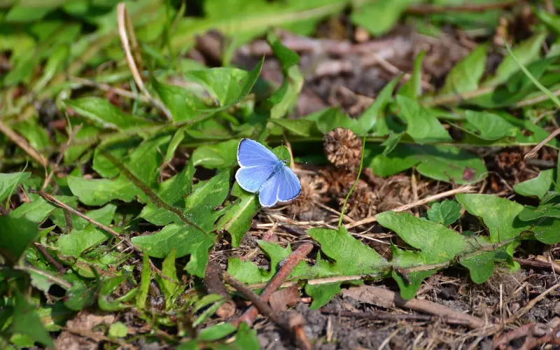 挖墙脚是什么意思，如何防止别人来挖墙脚