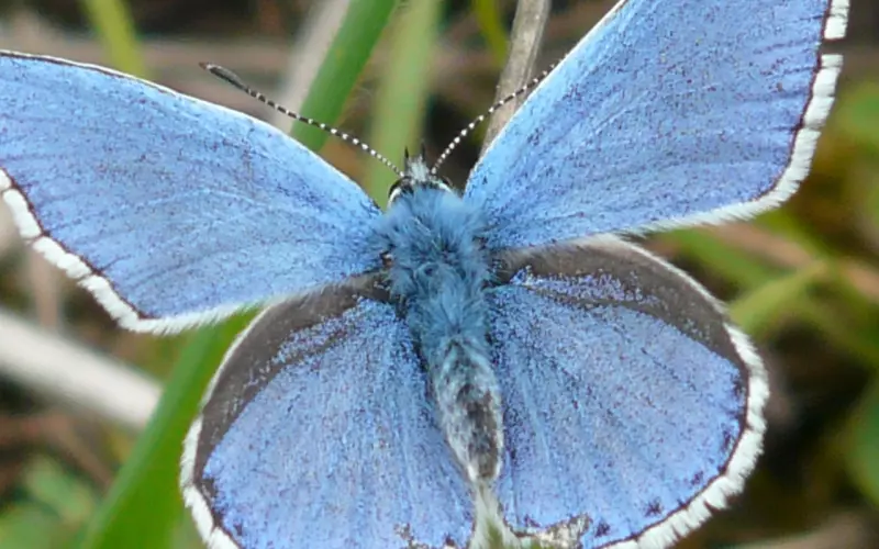 挖墙脚是什么意思，能不能挖到真爱？