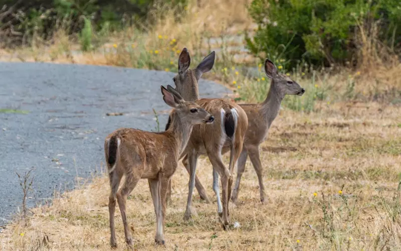 婚姻中的三观不合指的是什么(夫妻婚姻中三观不合是指的什么)