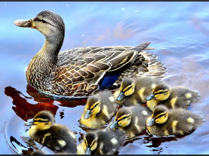 最美的爱情，是什么样子？