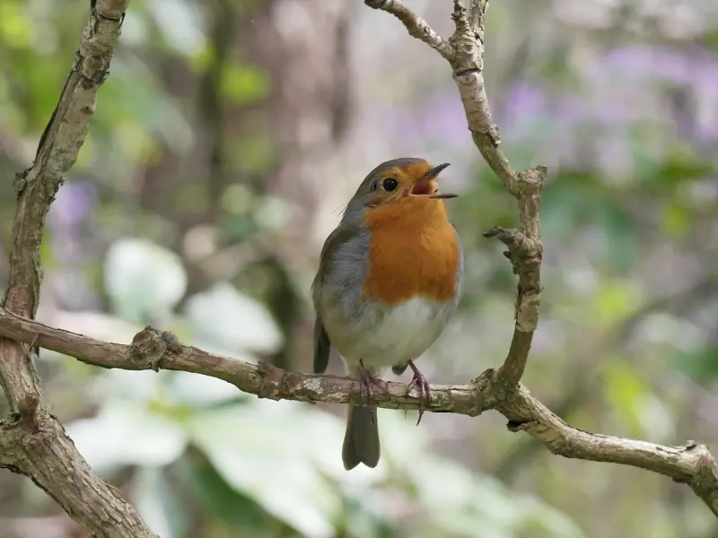 俗话说的“男有四不娶，女有五不嫁”都是什么意思？