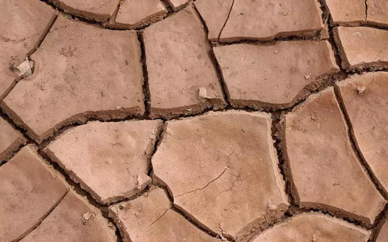 当今人们缺少哪些情感？为什么？