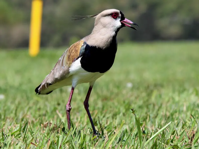 婚姻中，女人究竟想要的是什么？