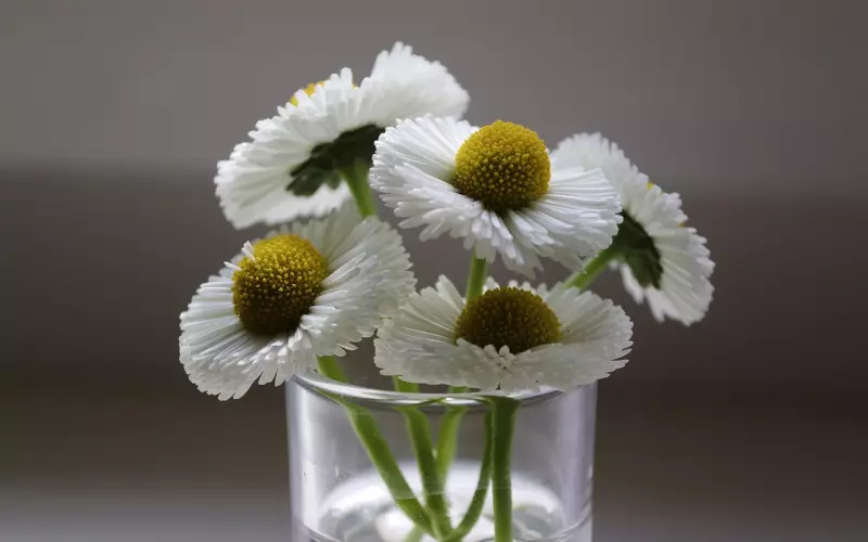 前任说感情淡了的背后，到底发生了什么