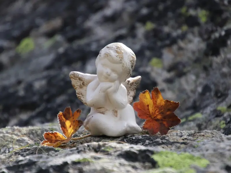 那些异地恋的情侣，最后都怎么样了？