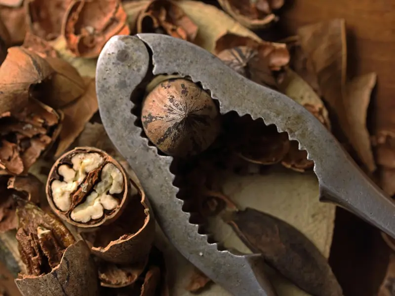 最想紧握你的手，从心动到古稀